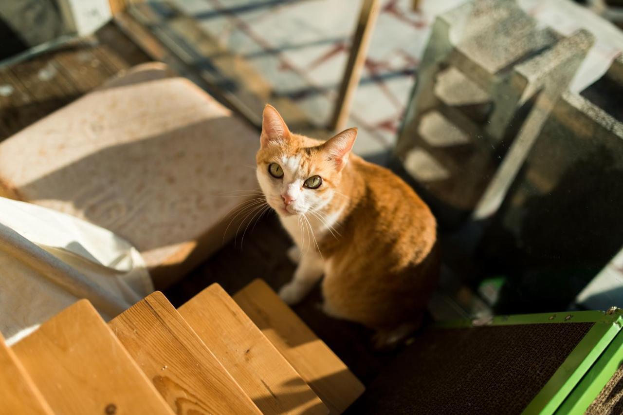 Hello Make Yourself At Home Кэньдин Экстерьер фото